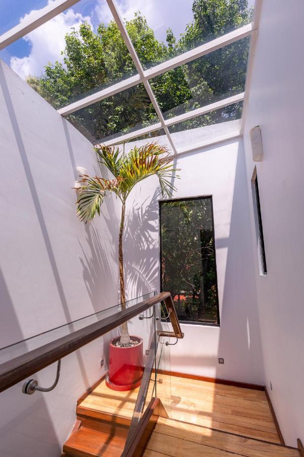 Casa Blanca In Coyoacan Mexico City Luaran gambar